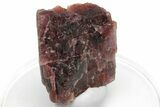 Rare, Red Villiaumite Crystal - Murmansk Oblast, Russia #220044-1